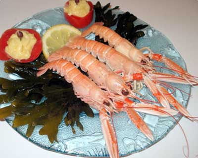 Les langoustines